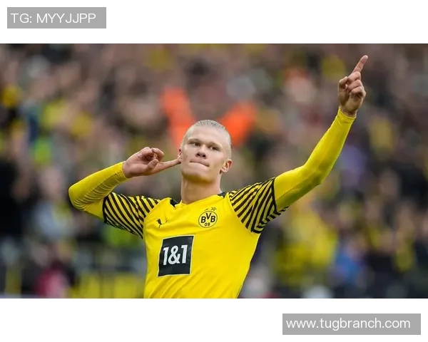 哈兰德再破门，助多特蒙德取胜：未来之星的光芒无限