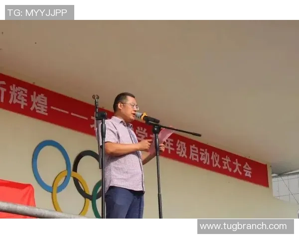 新科冠军的辉煌征程与夺冠背后的艰辛历程揭秘