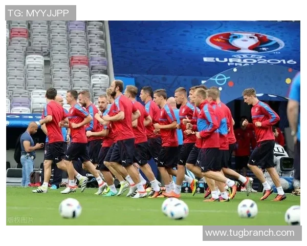 欧洲杯：捷克战胜克罗地亚小组第二晋级