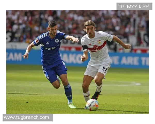 沙尔克04战平斯图加特,保持不败势头继续向前发展 沙尔克04战平斯图加特,保持不败势头继续向前发展